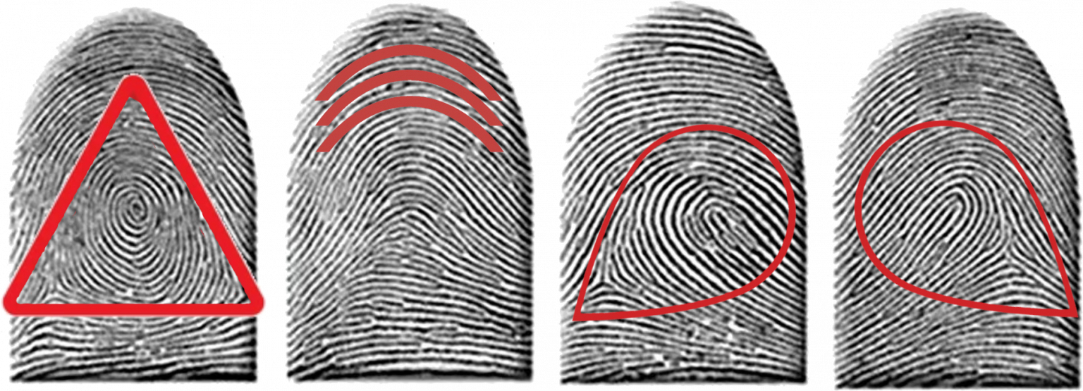 Huellas Dactilares: El Secreto de tu Identidad - Mictlan Forensic